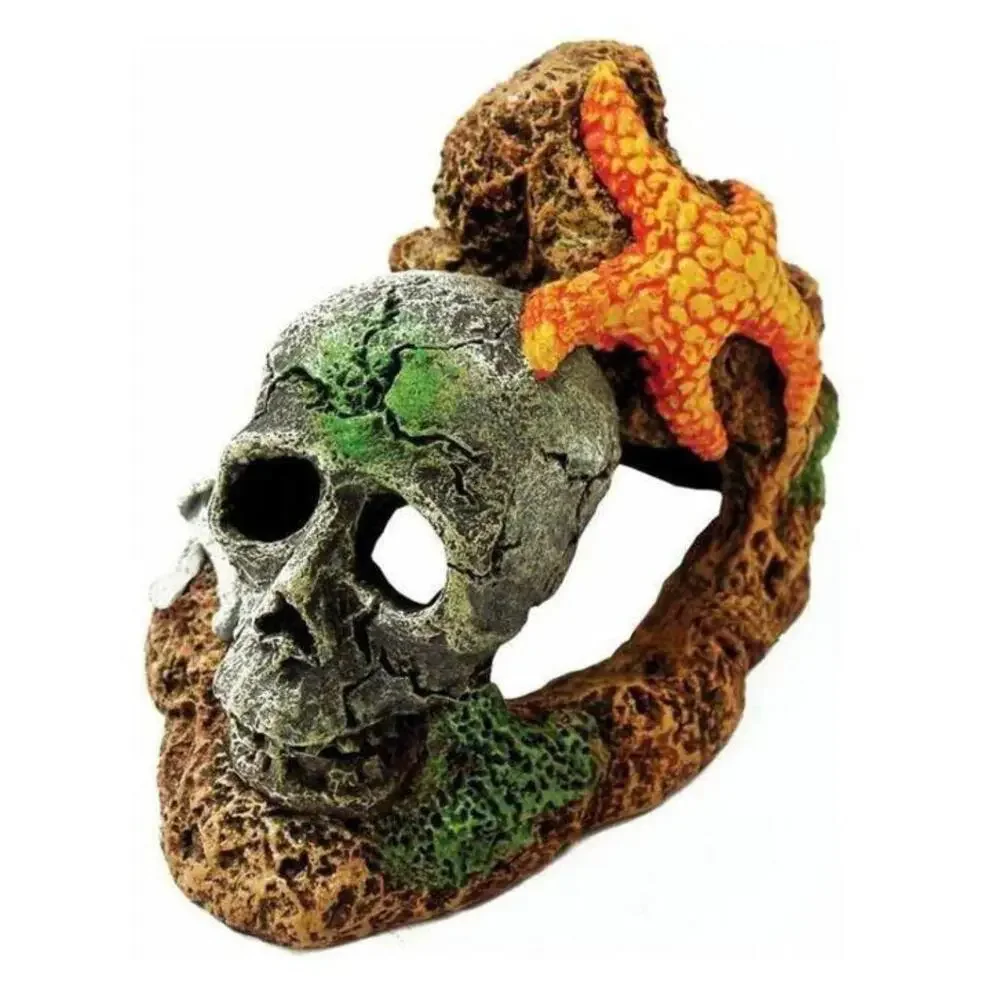Blue Ribbon Pet Products Resin Ornament - Skull With Starfish
